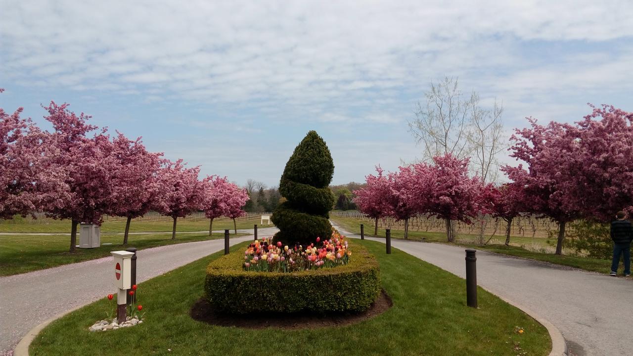 The White House Boutique B&B Niagara-on-the-Lake Esterno foto